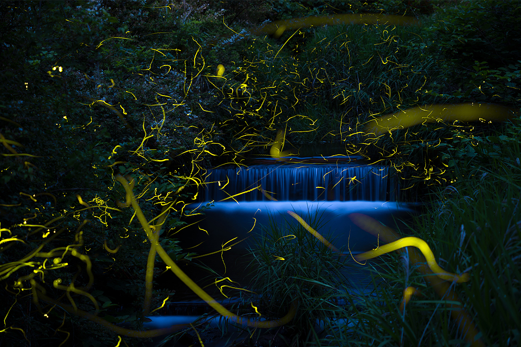 作業中イメージ