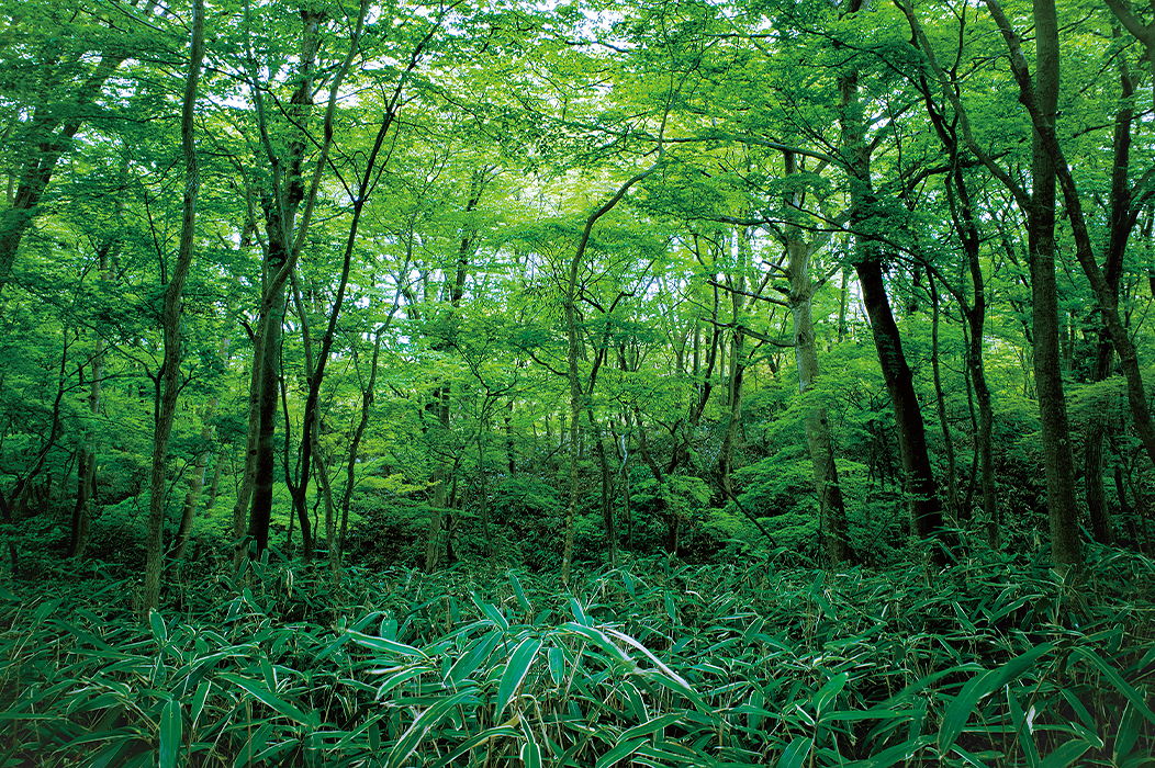 作業中イメージ